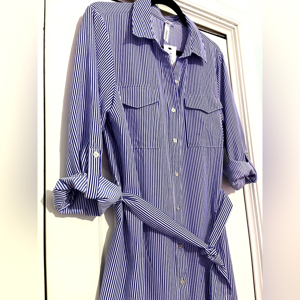 NWT blue and white striped dress, sz XL, button front